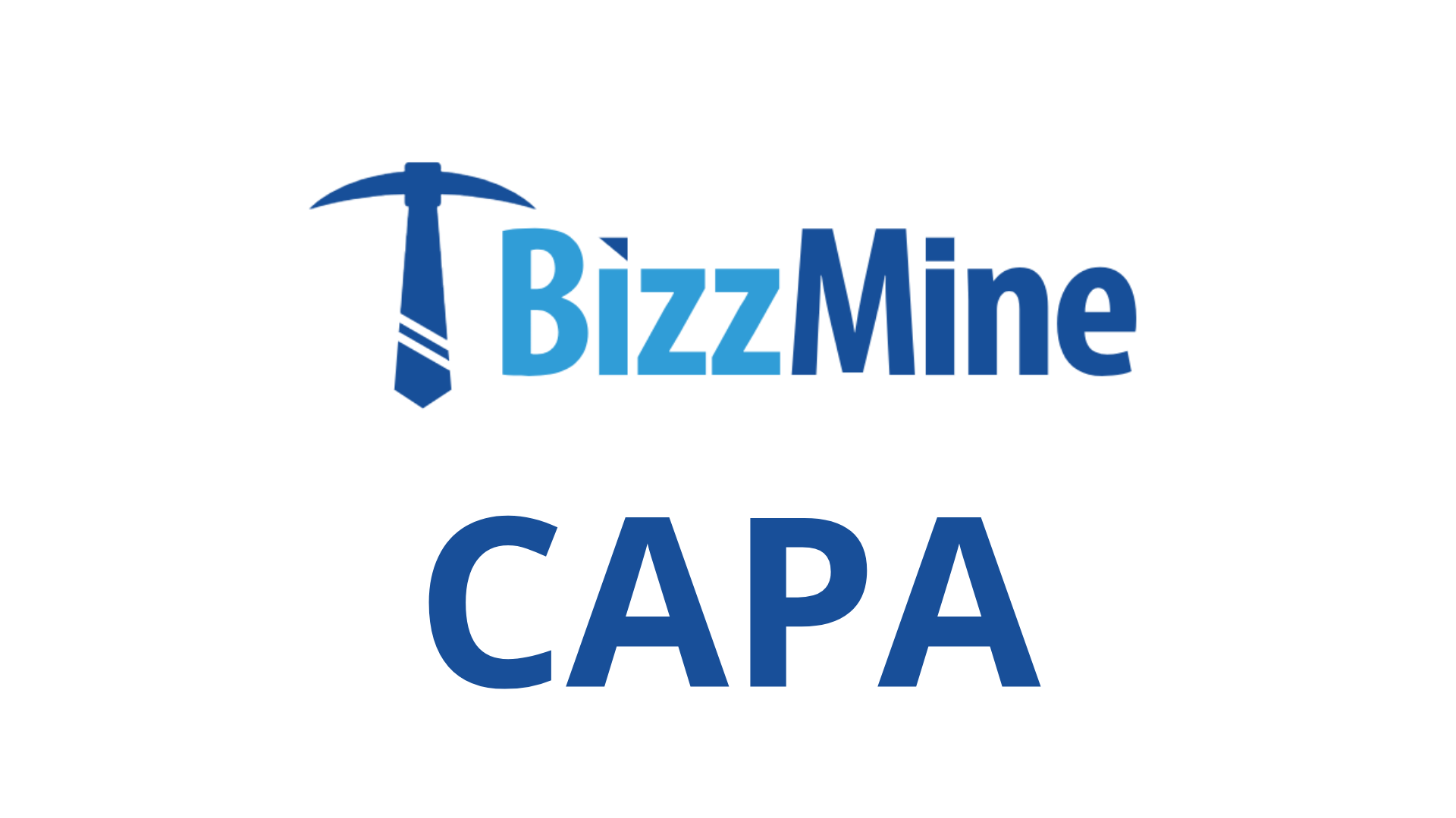 Bizzmine CAPA