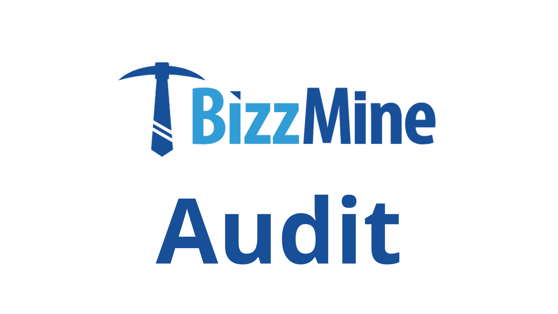 BIZZMINE-AUDIT