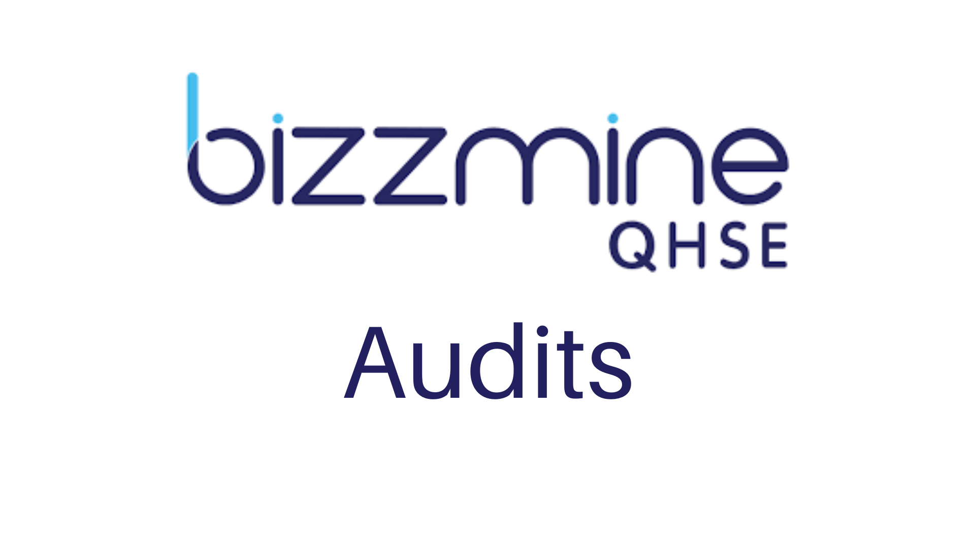 BIZZMINE-AUDIT